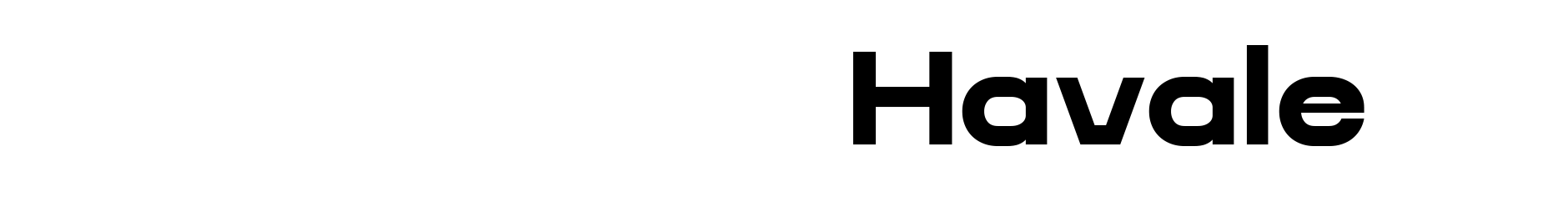 FVX Havale