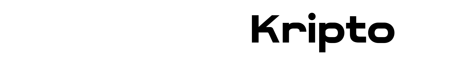 FVX KRİPTO